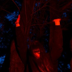 kade krt