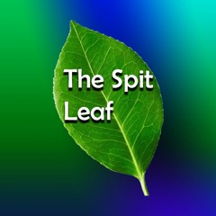 The Spit Leaf