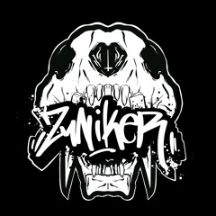 ZynIKeR