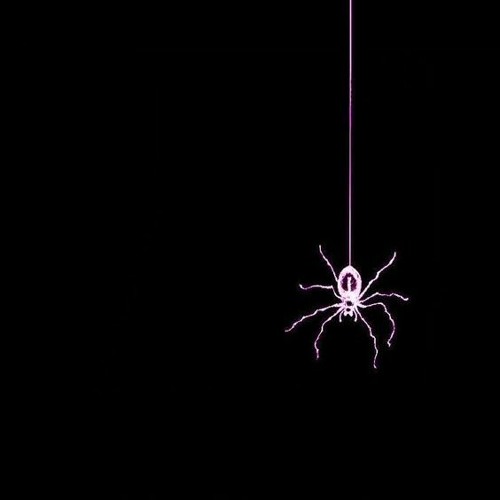 spiderwebkai’s avatar