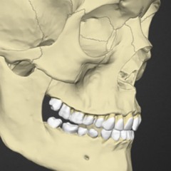 83ຯ23₰ ⃠ ⃜ ⃞1⁖ ⁘890