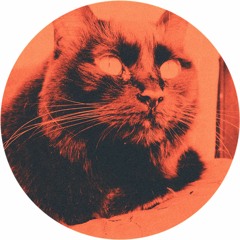 Fine Torture Selection