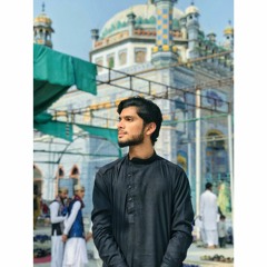 Alee Muzamil