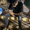 Devang chinchole