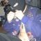 dj eastwood <Y>