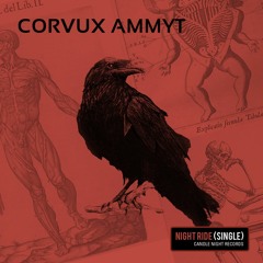 Corvux Ammyt