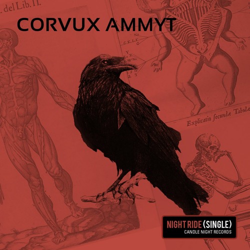 Corvux Ammyt’s avatar