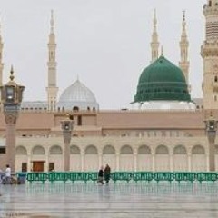 Amr Mekawy