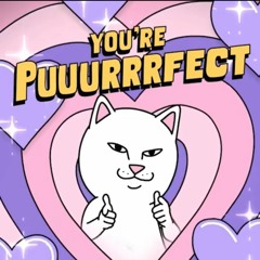 Manta Lexie Liu cover by Dorri