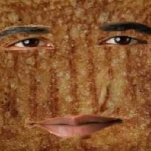 Grilled cheese obama sandwich’s avatar