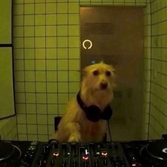 Isman_dnb
