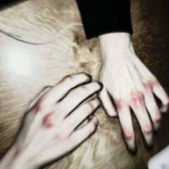 𝓼𝓵𝓲𝓽🦴𝓶𝔂𝔀𝓻𝓲𝓼𝓽𝓼