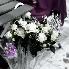 buthin11_