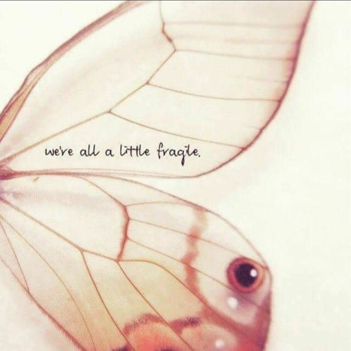 اجمل مقطع -انا باعشقك