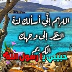 Mona Abo Elfotoh