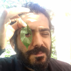 Kubilay Devecioğlu