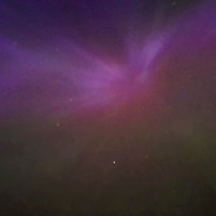 DWLFER1