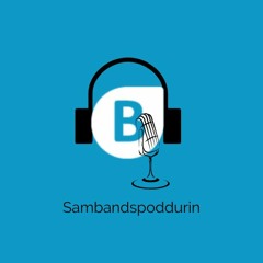 Sambandsflokkurin