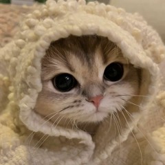 шваб
