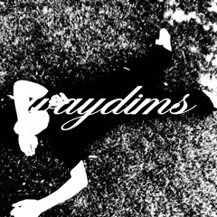 waydims