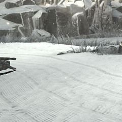 308.DSR