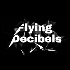 Flying Decibels