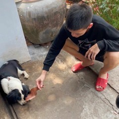 Trần Văn Toàn