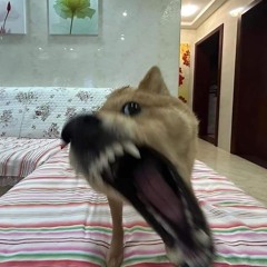 唐国俊