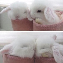 darling
