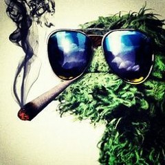 Oscar the Grouch