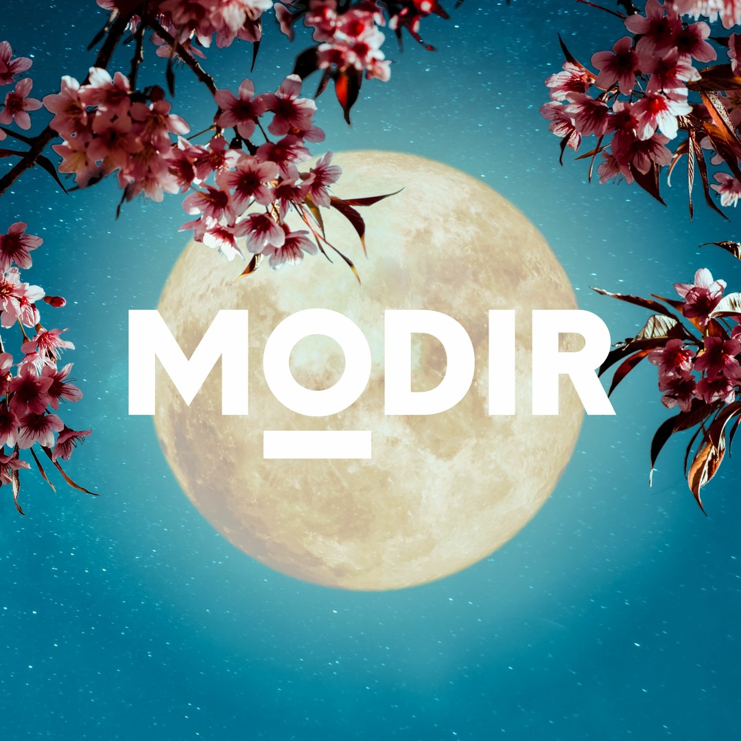 Stream MODIR music | Listen to songs, albums, playlists for free on ...