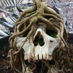 Олександр Юрійович