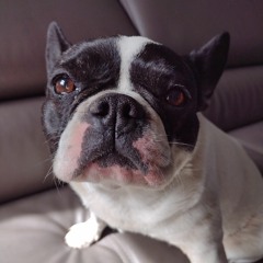 Marieke.2027