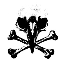 Witecrow