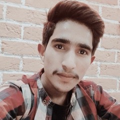 zaffar mian