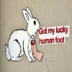 bunni below