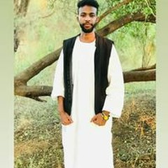 Mahamed Awad Alsharany