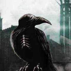 dead crow