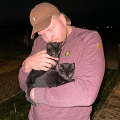 Offiziell Finch