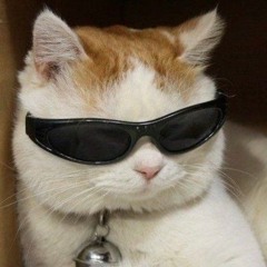 _:p/.