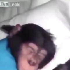 Wiktor