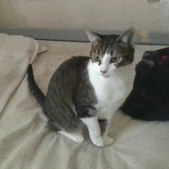 ThePrinceAldo