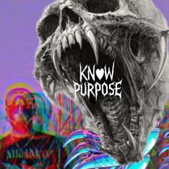 KNOW PURPOSE