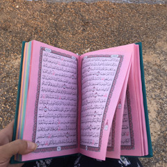 Heba Fathy