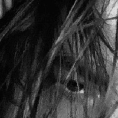 iord