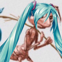 dddd