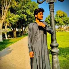 Ishfaq  Abro