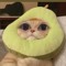 Tng Cuti
