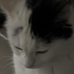 【東方ボーカル】 「Day After」 【FELT】