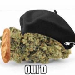 Cogollito
